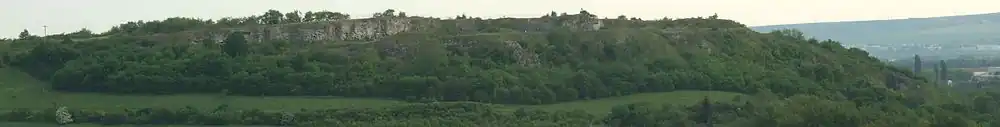 Pohled na skálu z Líšně