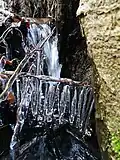 Zima ve strži