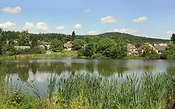 Dvorský rybník
