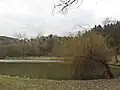 Stradonický rybník