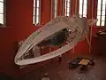 Kostra plejtváka myšoka s kosticemi v mořském museu ve Stralsundu.