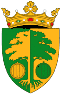 Strășeni – znak