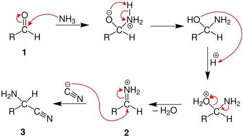 Mechanismus první části Streckerovy syntézy