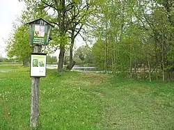 Stročov