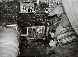 [17] –žádný originální titulek–