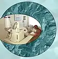 Elektronový rastrovací mikroskop
