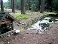 Studánka