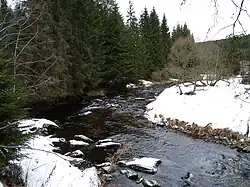 Studená Vltava u obce Stožec