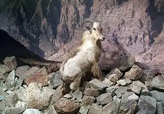 alternativní popis obrázku chybí