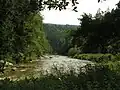 Stvořidla