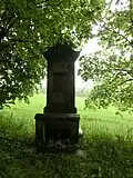 VII.