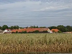 Suchdol, Brandejsův statek