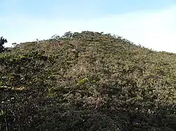 Vrchol Tambuyukonu