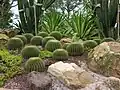 Sun Garden