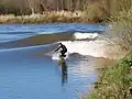 Surfování na řece Severn v Anglii.