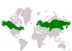 Obecné rozšíření sovice krahujové.