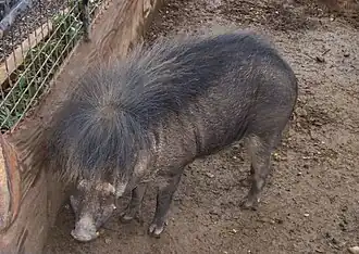 alternativní popis obrázku chybí