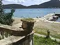 Sutvid