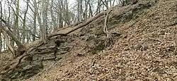Svah Vinné hory nad řekou Opavou s výchozy zvětralých břidlic