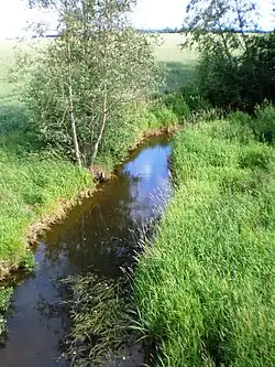 Svalia 1 km na jihozápad od Pasvalysu z dálnice A10/E 67