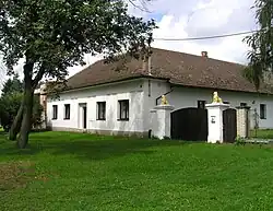 Lišice