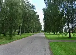 Březová alej