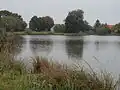 Krsovický rybník