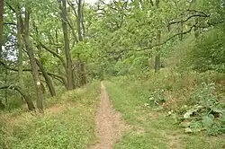 Cesta na vrchol