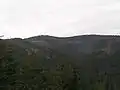Slamník z jihu