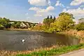 pohled na Svojšický rybník