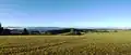 Panoráma z vrcholu JZ–Z: na obzoru zleva Žákova hora (810 m), Šindelný vrch (806 m), Kamenný vrch (803 m)