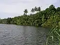 Pobřeží vnitřní laguny