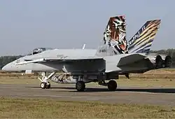 Švýcarský stíhací letoun F/A-18C (J-3011)