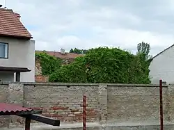 Synagoga Vojkovice 01.jpg