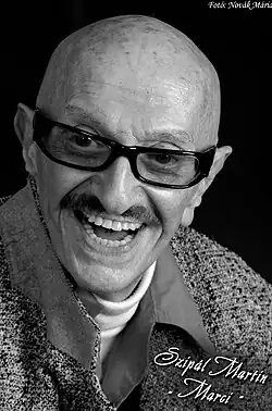 Szipál Martin