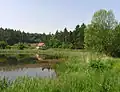 Podhájský rybník
