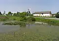Zarostlý rybník