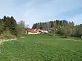 Domy