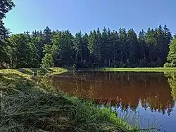 Nový rybník