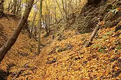 Třímanské skály