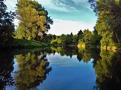Tůň u Kostelan