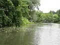 Tůň u Kostelan