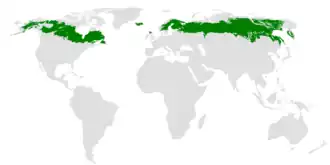 rozšíření severských jehličnatých lesů