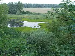 Národní přírodní rezervace Tajba