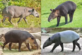 alternativní popis obrázku chybí