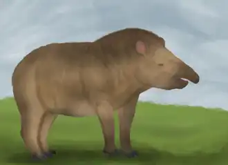 popis obrázku chybí