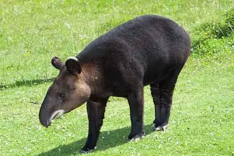 alternativní popis obrázku chybí