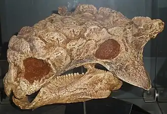 alternativní popis obrázku chybí