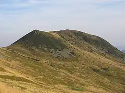 Tarnica