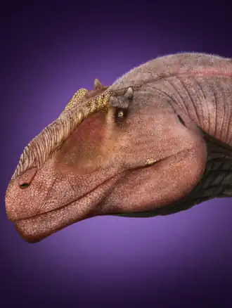alternativní popis obrázku chybí
